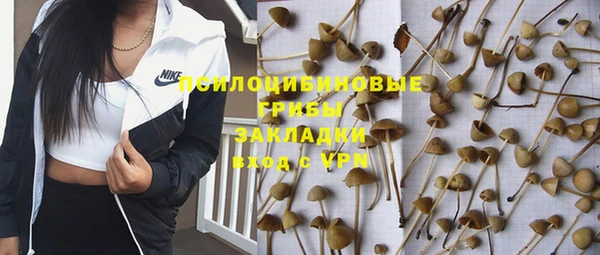 гидра Абинск