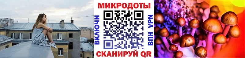 Галлюциногенные грибы прущие грибы  Инсар 