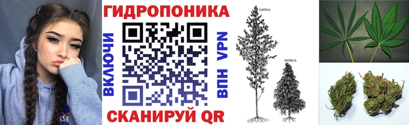Канабис White Widow  хочу   Инсар 